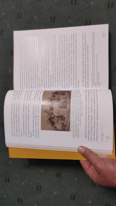 A Casa de Lamas Sua História e Familia