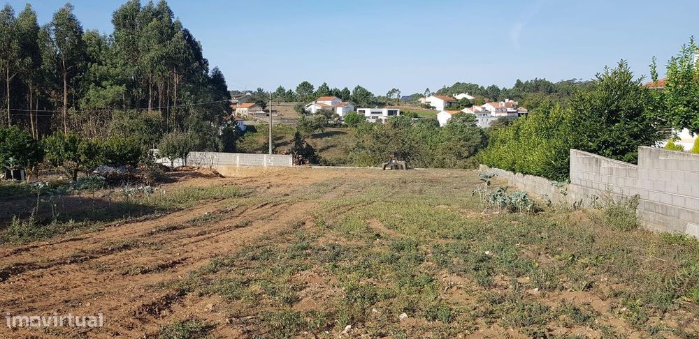 Terreno em Santa Catarina Serra — Santa Catarina Da Serra E Chainça, Leiria