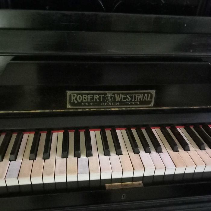 Piano para dar música à sua vida!