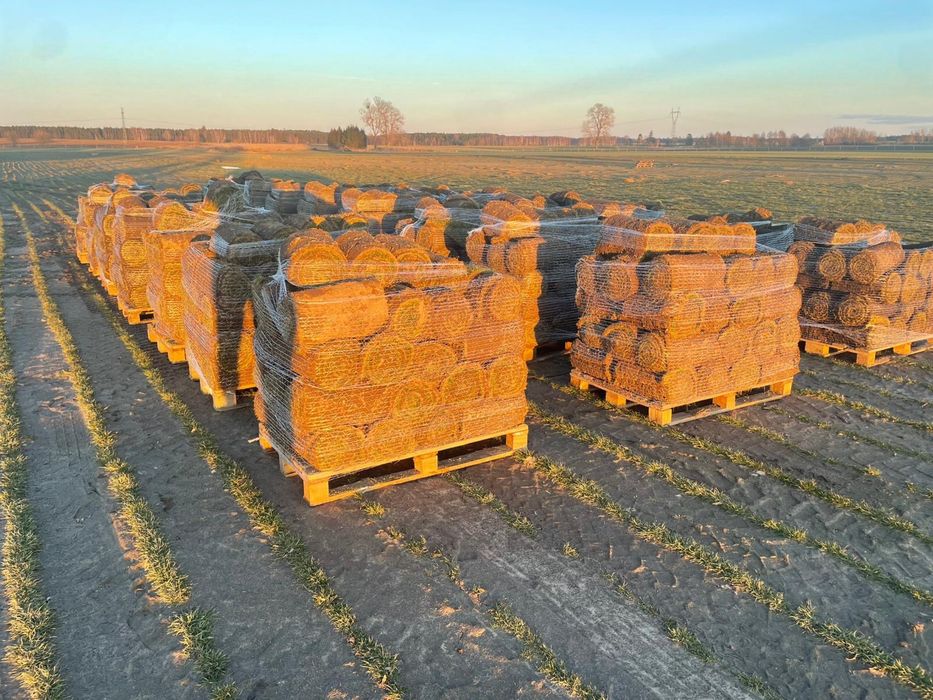 TRAWA Z ROLKI PREMIUM Polski Producent dostawa montaż