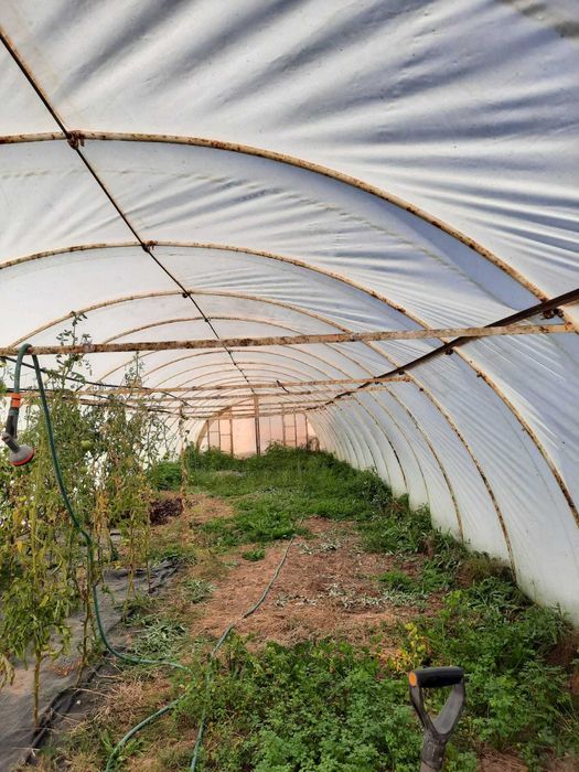 Tunel foliowy 6x30m