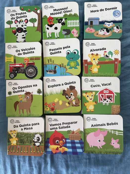 12 livros- os amigos da quinta- Baby Einstein