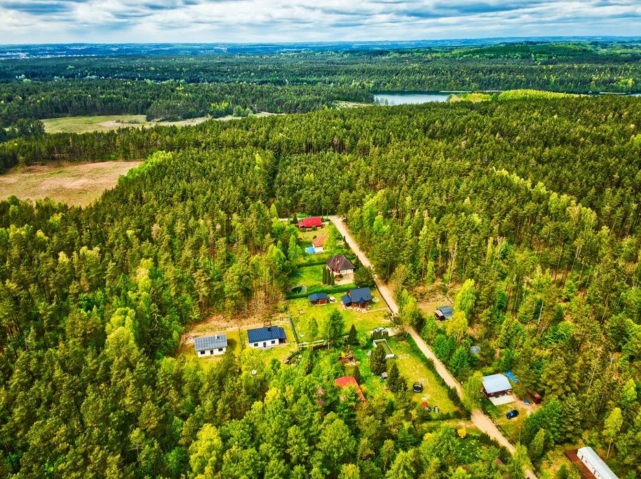 Leśny zakątek na Kaszubach