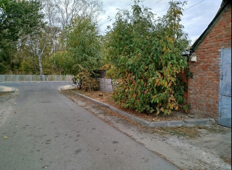 Срочная продажа дома пос. Бабаи с готовым бизнесом