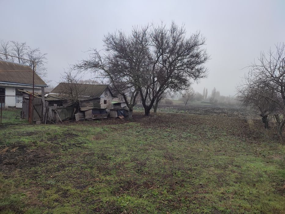 Будинок, Полтавська область