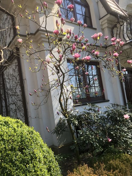 будинок в Варшаве Янкі Janki