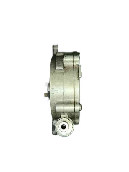 Bombas de Vácuo VW PASSAT B6 03L145100F (OEM)