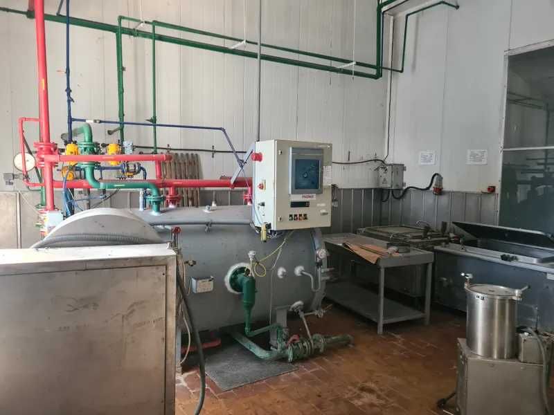 М’ясоцех з допоміжними спорудами, 833,5 м², с. Плоске, вул. Дружби, 8