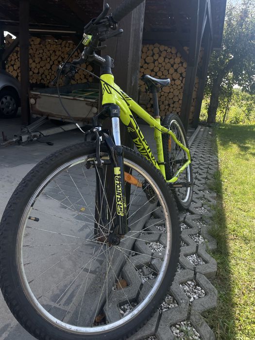 Rower ALPINA eco 20m 385mm