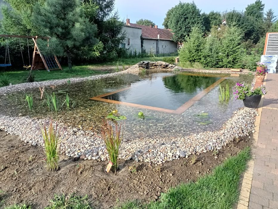 Glony w oczku wodnym, preparat do walki z glonami Algo Split 5 kg