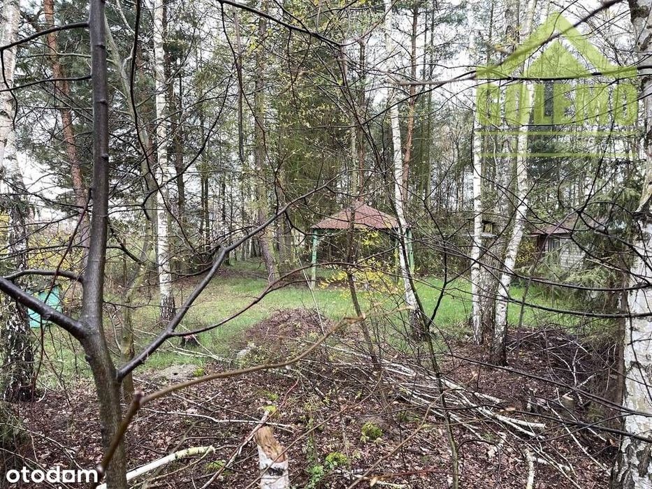 Działka Budowlano-Rekreacyjna / 8900 m² / Łochynia - Widok 6