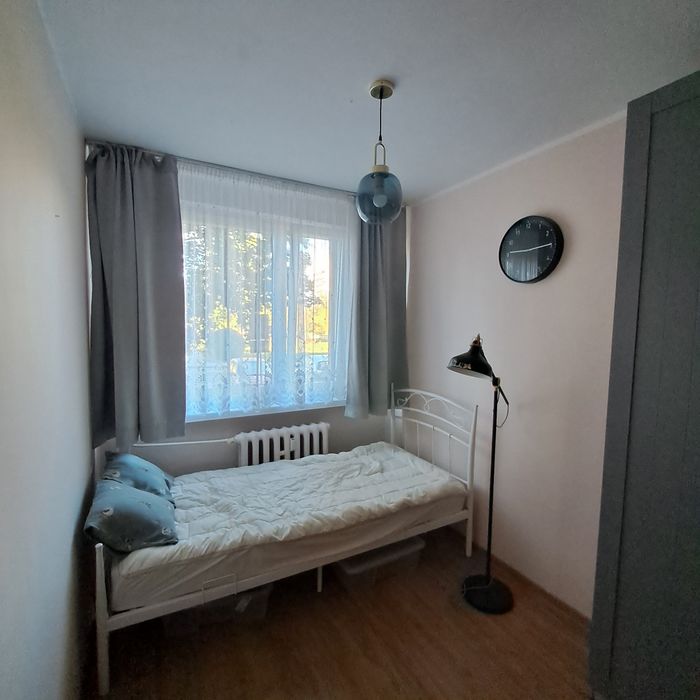 Zdjęcie 8