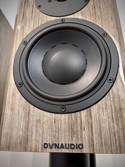 Dynaudio Special 40