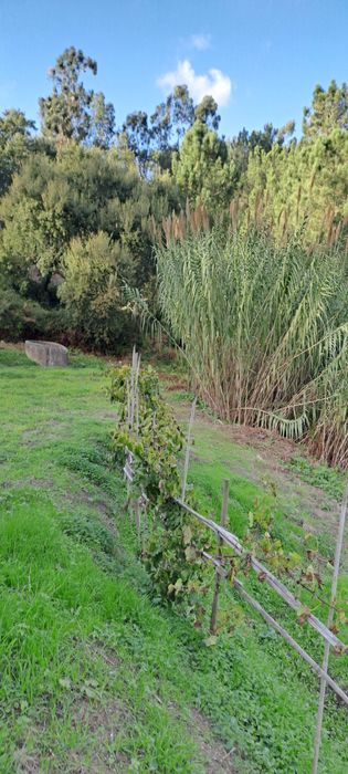 espectacular LOUSA LOURES 1.6 hectares a 15 min da capital Lisboa