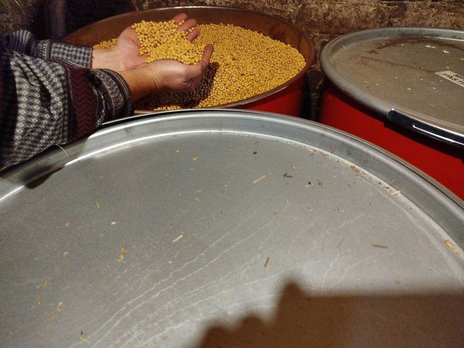 Продам сою не ГМО.