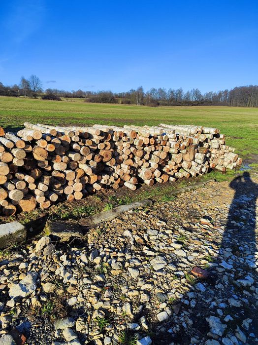 Wycinka karczowanie drzew lasów posesji