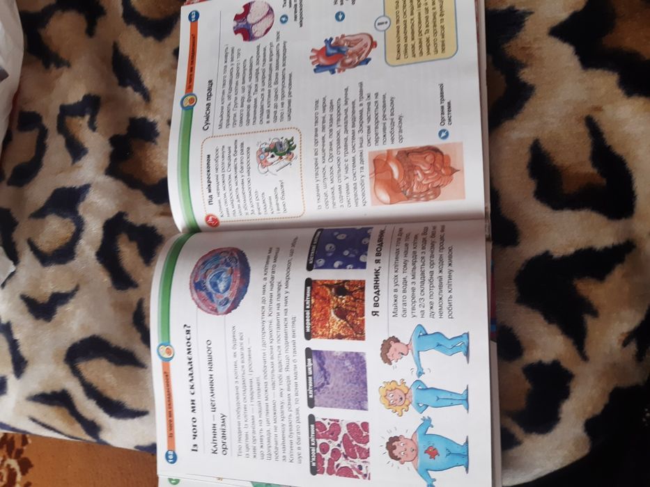 Сучасна Дитяча єнциклопедія