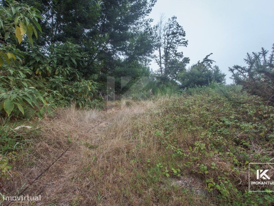 Land Plot in Camacha