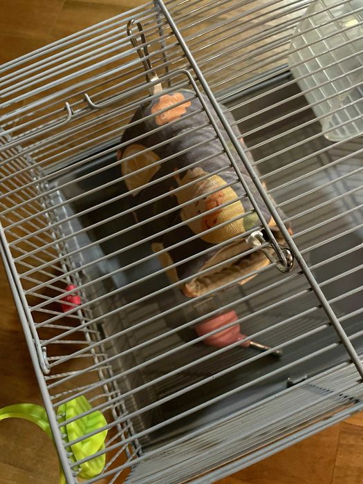 Gaiola para Hamster
