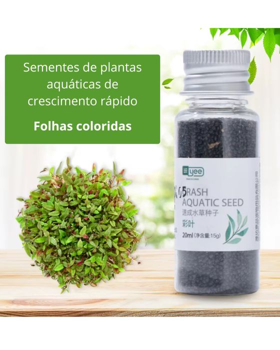 Sementes para aquario