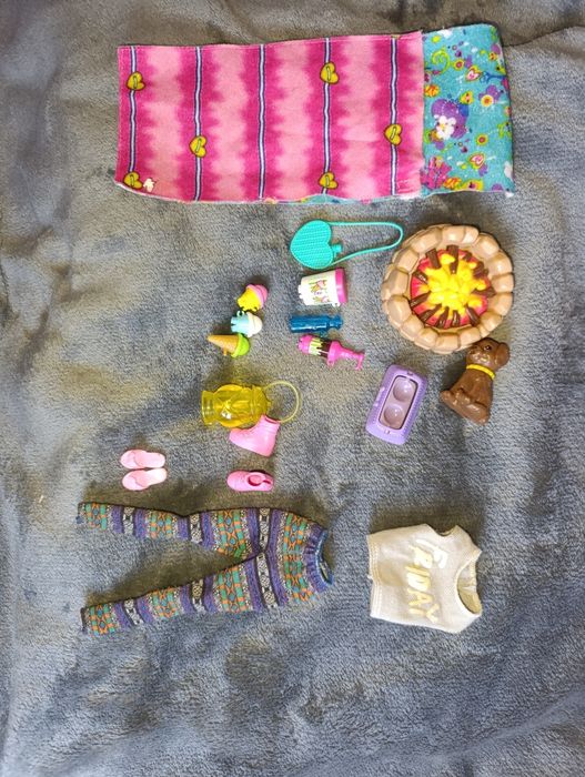 Lalka Barbie z dodatkami