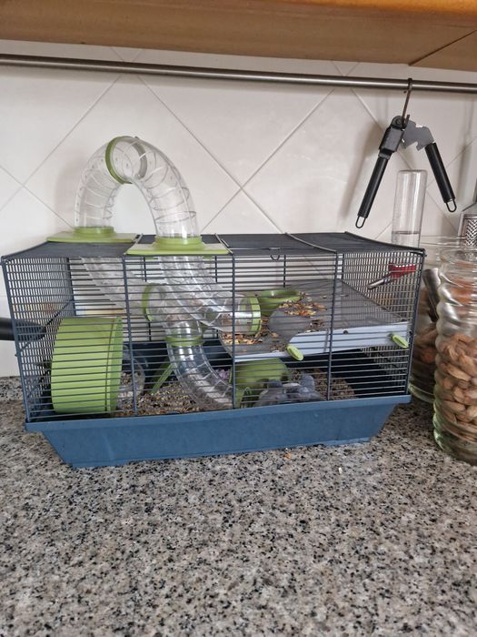 Gaiola de hamster