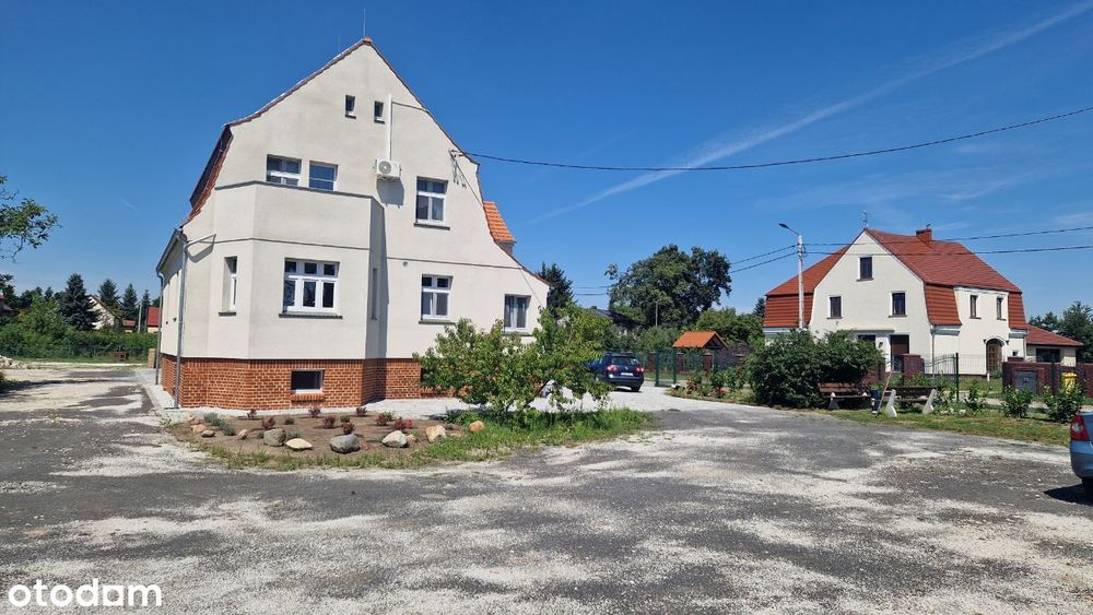 Wynajmę działkę Wrocław ogrodzony teren prąd woda