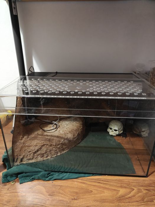 Terrarium dla np gekona lamparciego