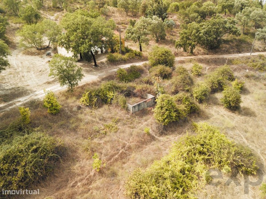 Quinta Florestal de 12,5 Hectares com Casa de Lavrador Centenária em B