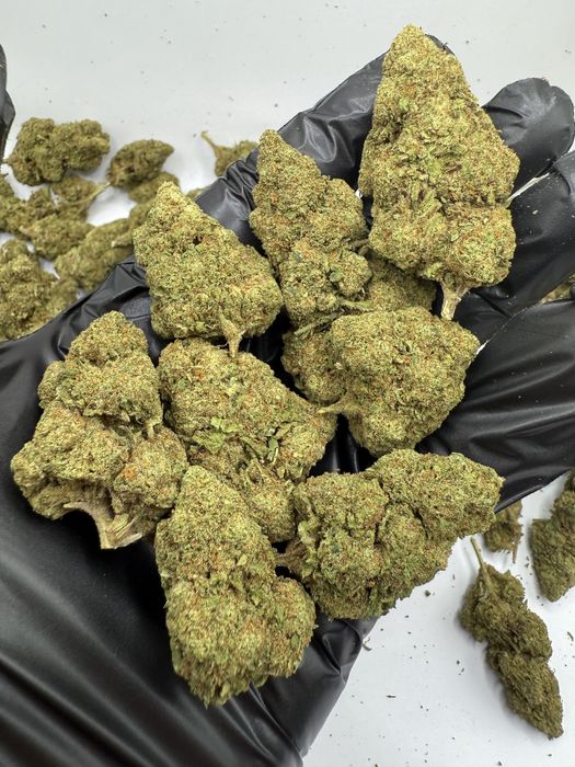 1kg susz CBD Blackberry/THC<0.3%