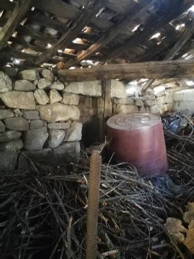 Ruina lagar  Valpaços