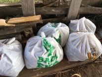 Kora kamienna łupek, frakcja 11-32