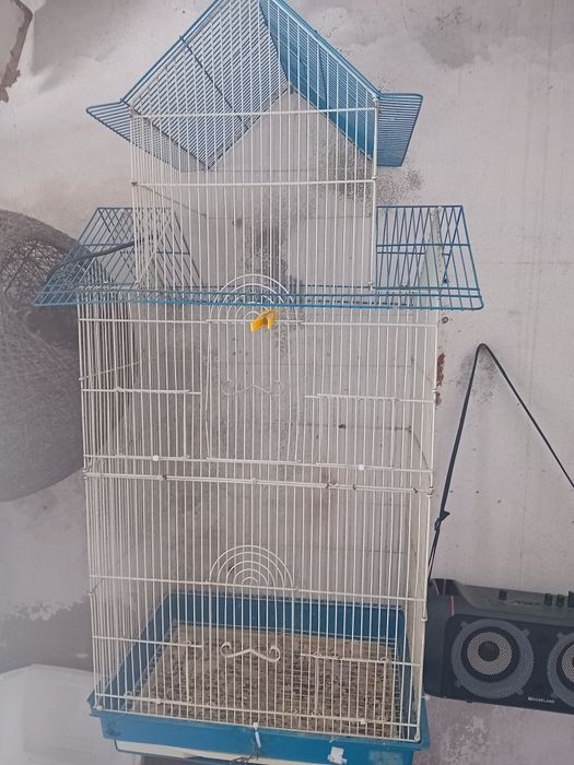 Gaiola para aves