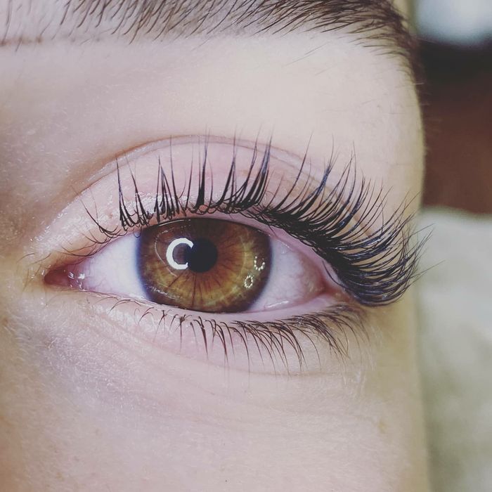 Ламінування вій, Довготривала укладка брів , корекція, фарбування брів