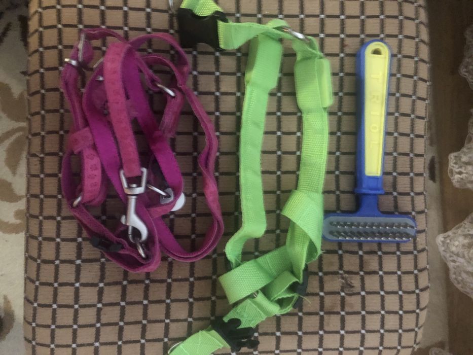 Гребешок, ошейник,  поводок для животных