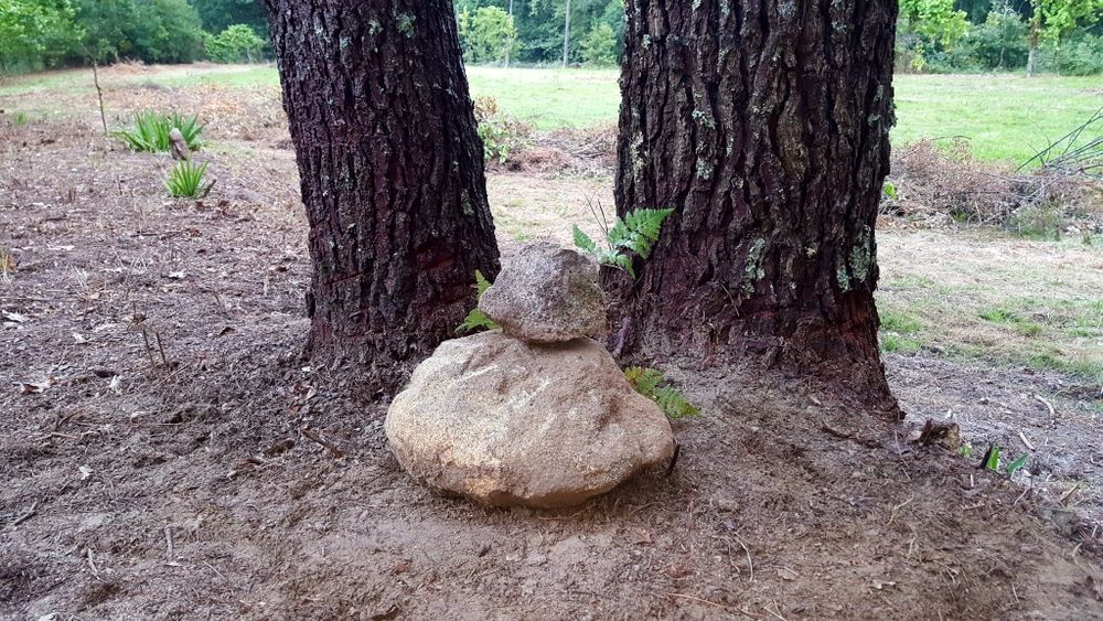 Rústico, com cerca de 7.500 m2 ou mais