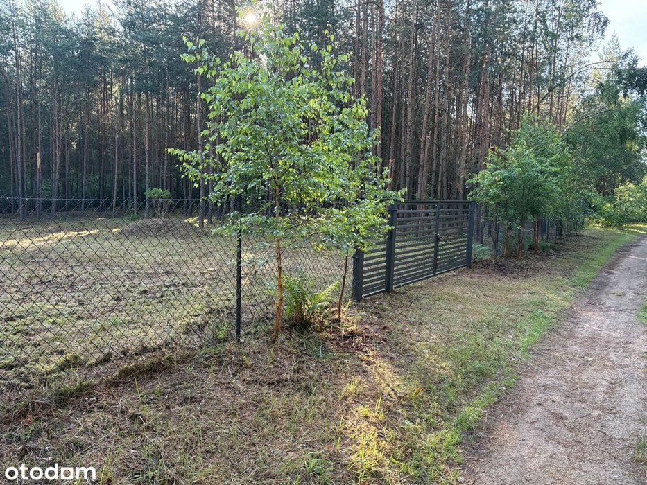 Działka 2000m², las, 5 min od najczystszego jeziora w Wielkopolsce