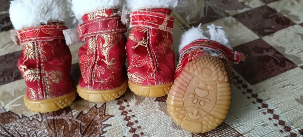 Одяг для собаки дівчинки.