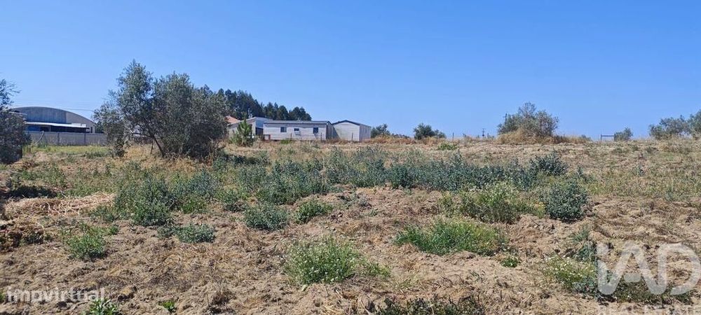 Terreno para construção em Branca de 7020,00 m2