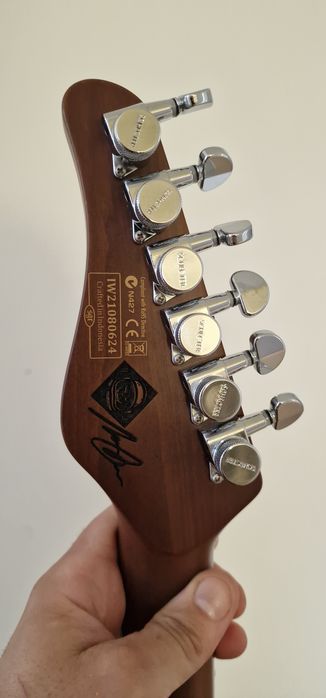 Schecter Nick Johnston