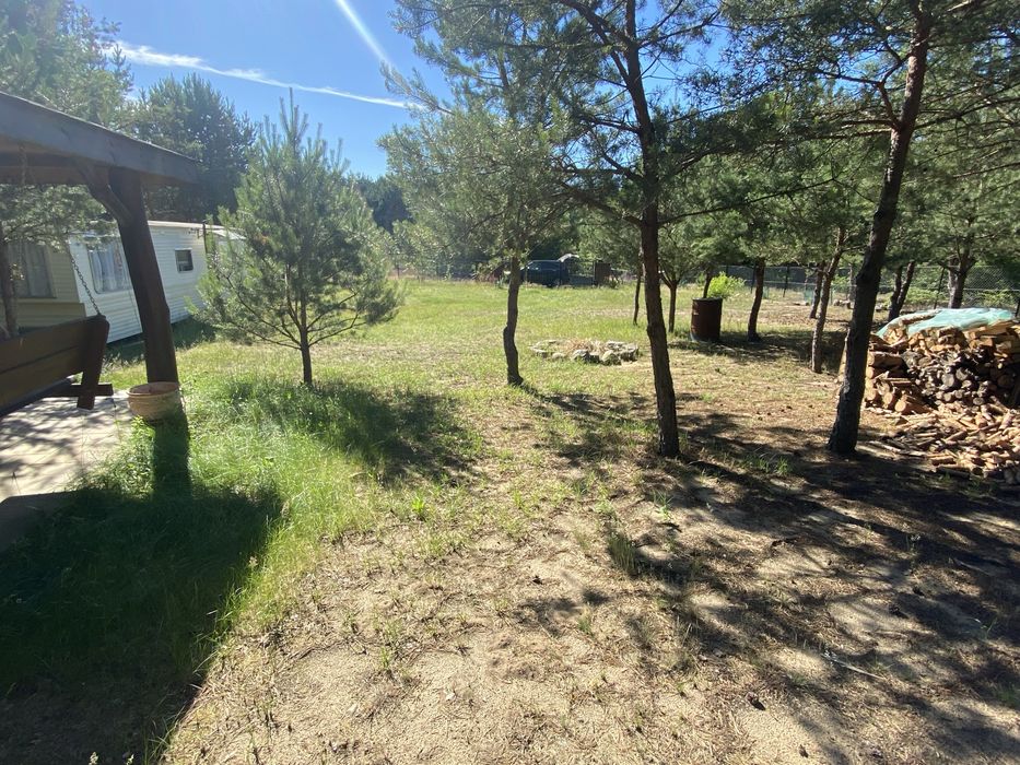 Działka budowlana 1106m² przy Lesie Państwowym | Blisko Jeziora Sumina | Prąd, Studnia, Domek, Altana - Widok 2