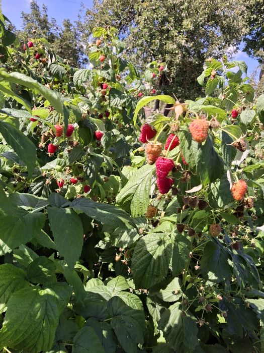 Від власника продається будинок.