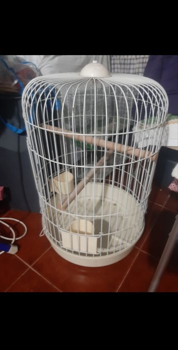 Gaiola grande para pássaros