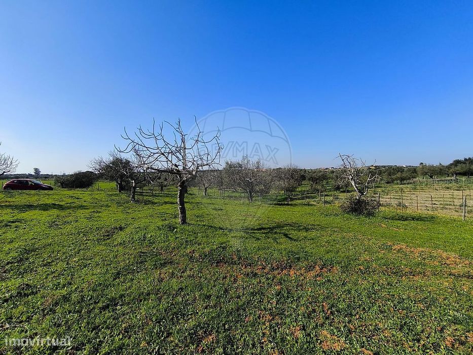 Terreno  para venda — Brogueira, Parceiros De Igreja E Alcorochel, Santarém