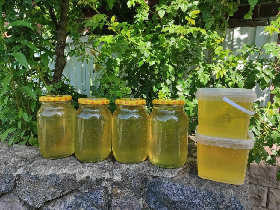 Мед акацієвий липовий гречаний мед в сотах пилок перга vtl