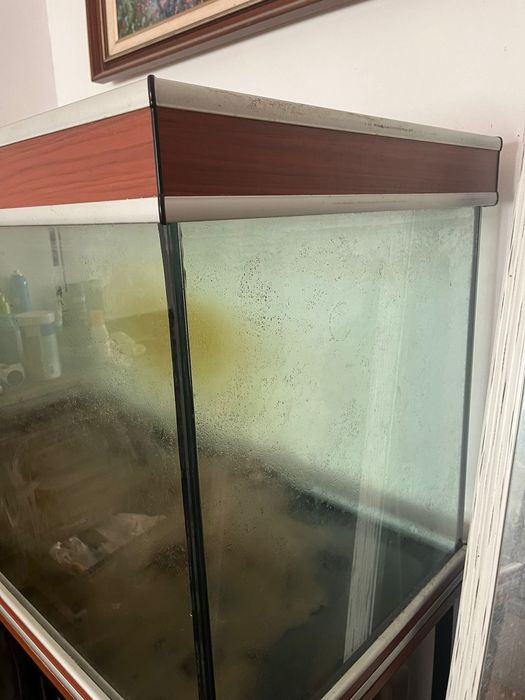 Aquário 500 litros + móvel em metal