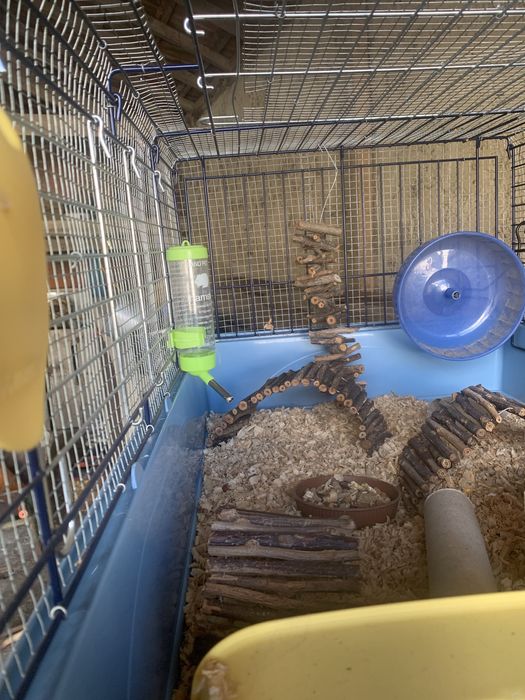 Gaiola para hamster 80cm