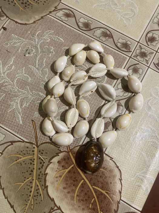 ожерелье ракушка Каури