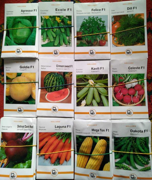 Семена овощей голандия голандские оптом Голандське насіння овочі опт