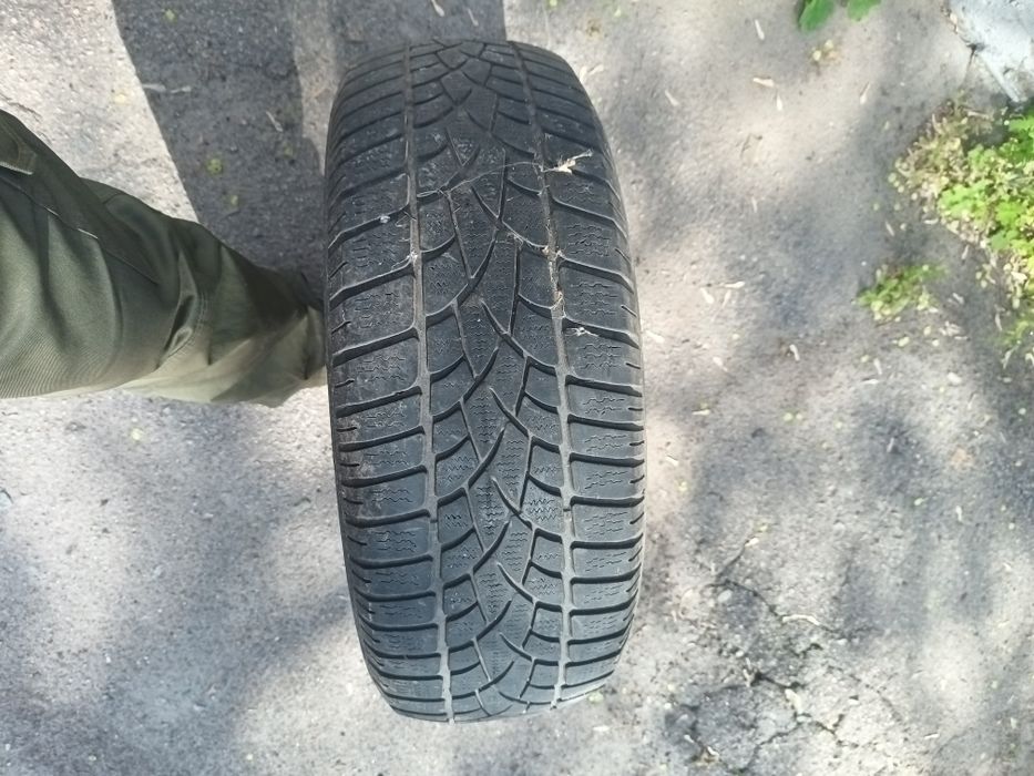 Dunlop winter sport 3D 5 215/65 r16 покрышка